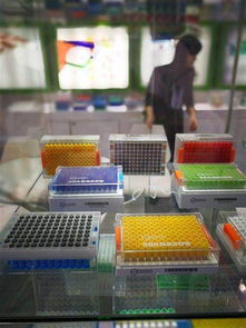 碩華生命科學等全球酷炫醫療科技云集上海cmef