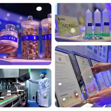 內蒙古技術開發全面開工，數字草原煥發新活力